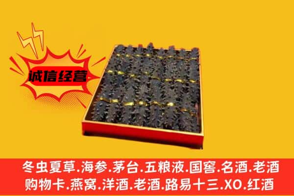 金川区回收海参